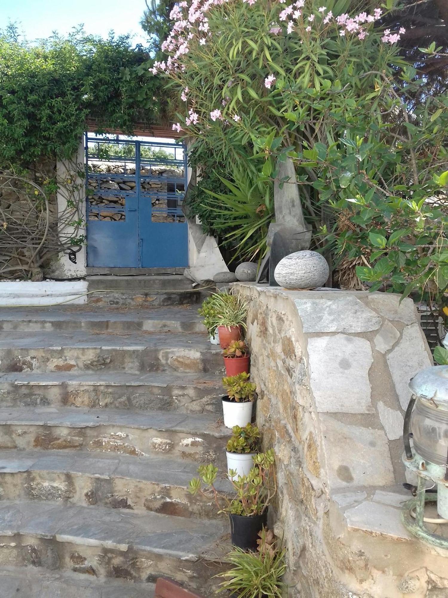 Studios & Suites Rania Mykonos Town Rum bild